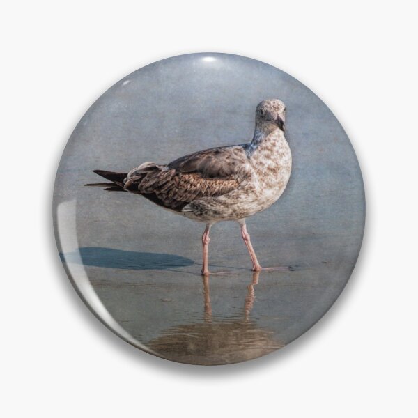 Item preview, Seagull study designed and sold by Art in Nature.