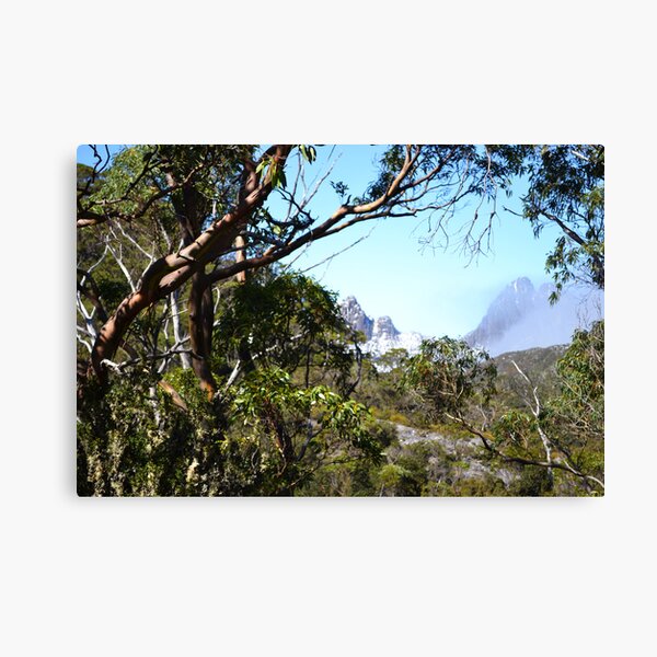 A window to Cradle Mountain. Canvas Print