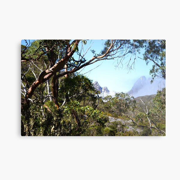 A window to Cradle Mountain. Metal Print