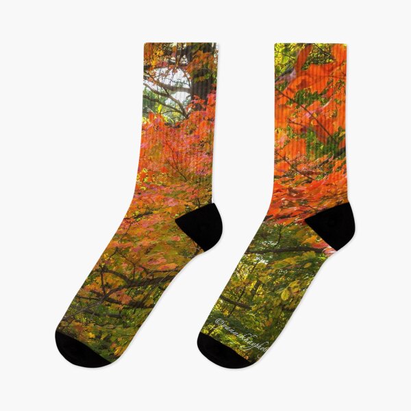 Item preview, Autumn Colours - MacKenzie-King Estate designed and sold by Yannik Hay.