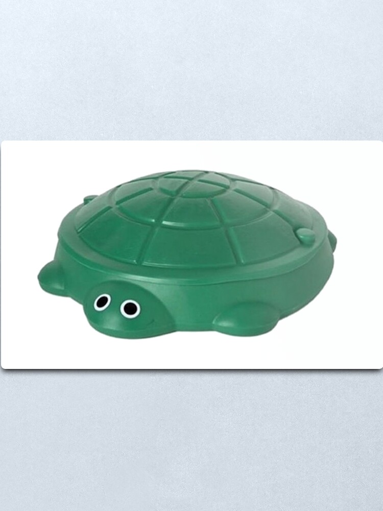 turtle sandbox