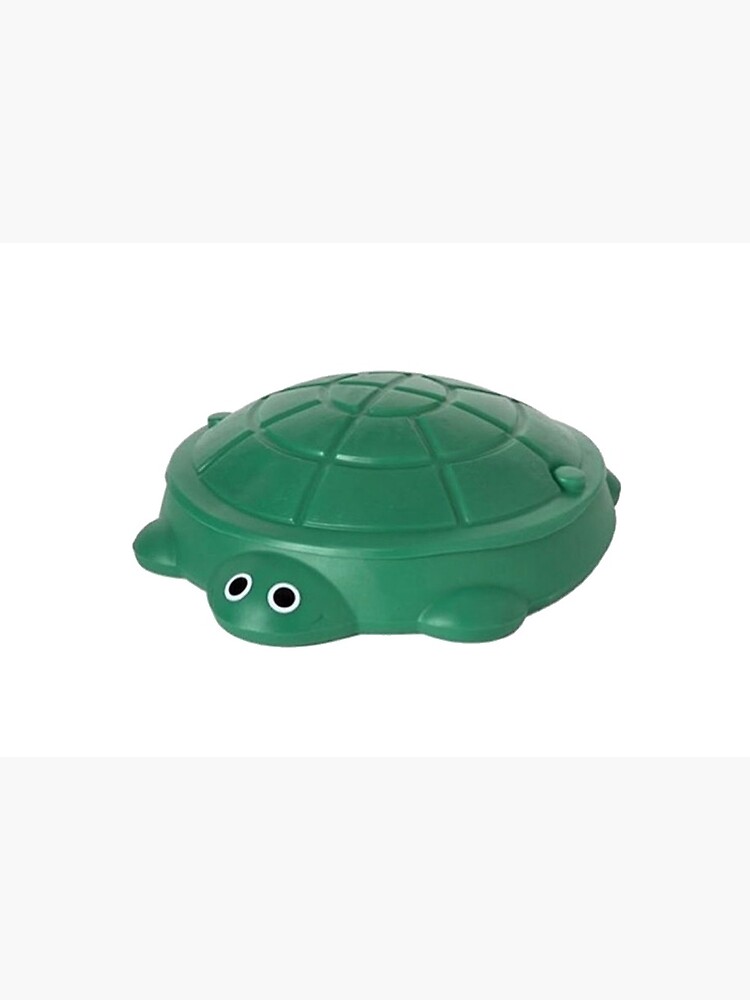 turtle sandbox