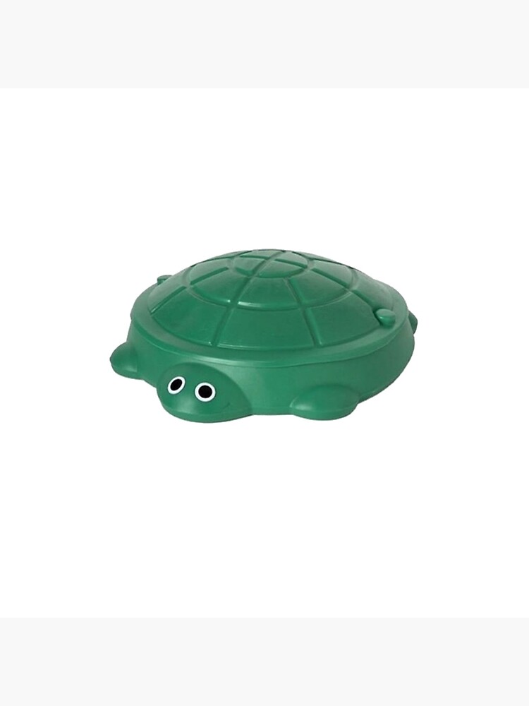 turtle sand boxes