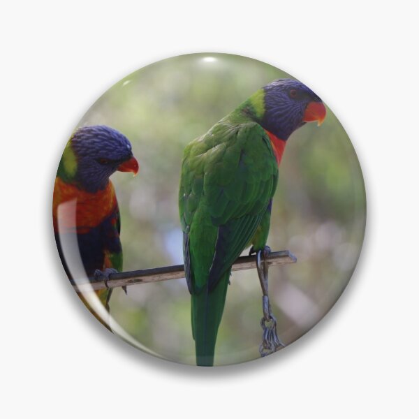 Item preview, Lorikeets designed and sold by Mickpew.