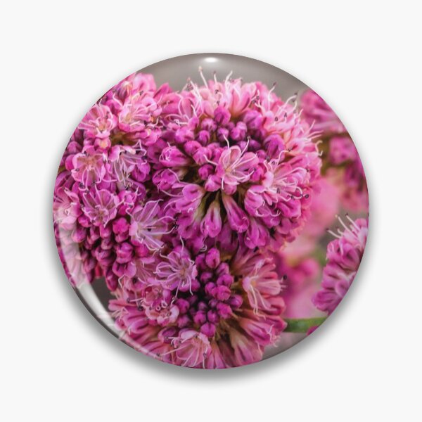 Item preview, Red Buckwheat designed and sold by Art in Nature.