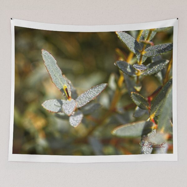 Item preview, Autumn in Canberra and Coping with the Crises (8) designed and sold by Wolf Sverak Photography.