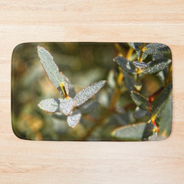 Item preview, Autumn in Canberra and Coping with the Crises (8) designed and sold by Wolf Sverak Photography.