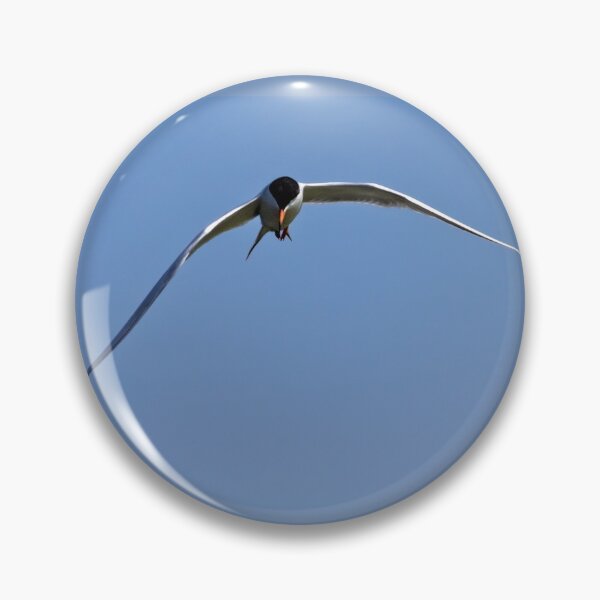 Item preview, Tern above Bolsa Chica Beach (California, USA) designed and sold by Art in Nature.
