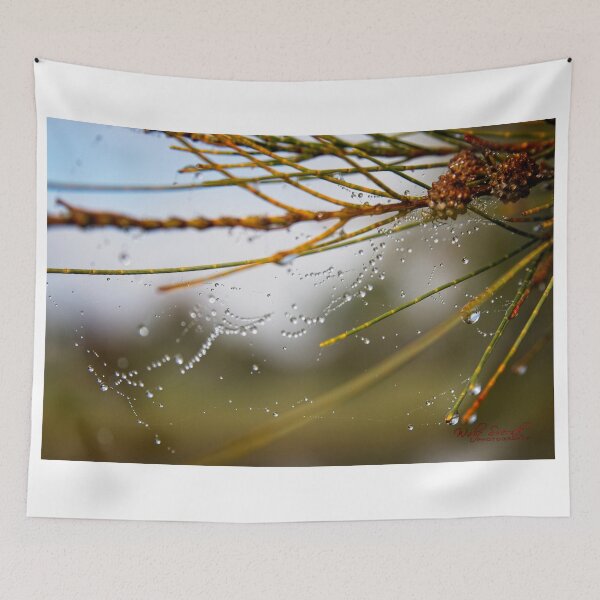Item preview, Autumn in Canberra and Coping with the Crises (7) designed and sold by Wolf Sverak Photography.