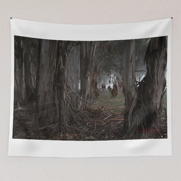 Item preview, Autumn in Canberra and Coping with the Crises (4) designed and sold by Wolf Sverak Photography.