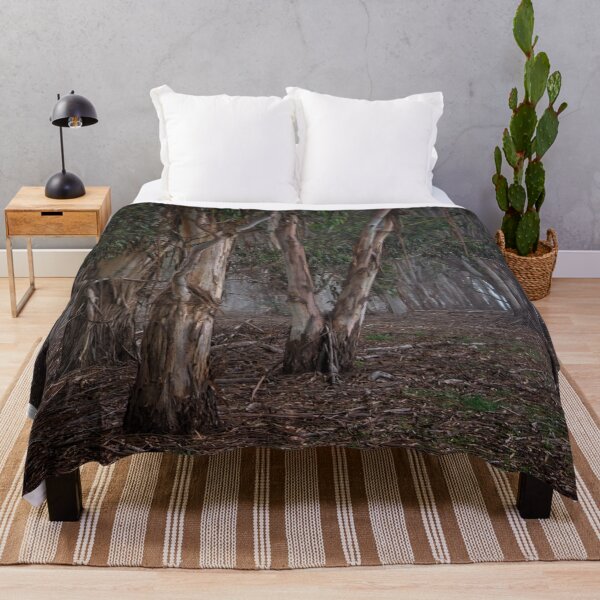 Item preview, Autumn in Canberra and Coping with the Crises (2) designed and sold by Wolf Sverak Photography.