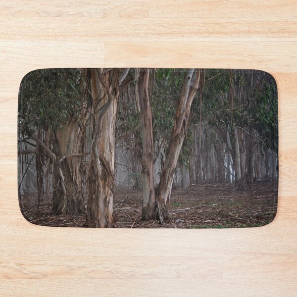 Item preview, Autumn in Canberra and Coping with the Crises (2) designed and sold by Wolf Sverak Photography.