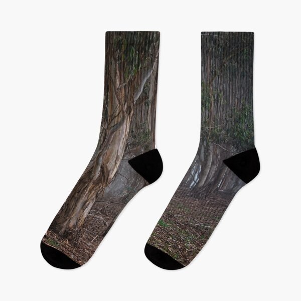 Item preview, Autumn in Canberra and Coping with the Crises (2) designed and sold by Wolf Sverak Photography.