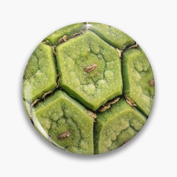 Item preview, Monstera fruit in macro designed and sold by Art in Nature.