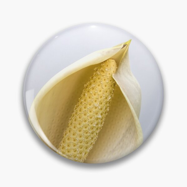Item preview, Monstera flower in high key designed and sold by Art in Nature.