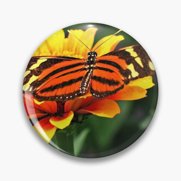 Item preview, Isabella Tiger designed and sold by Thaddeus Zajdowicz.