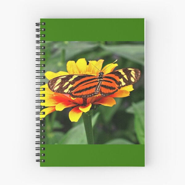 Item preview, Isabella Tiger designed and sold by Thaddeus Zajdowicz.