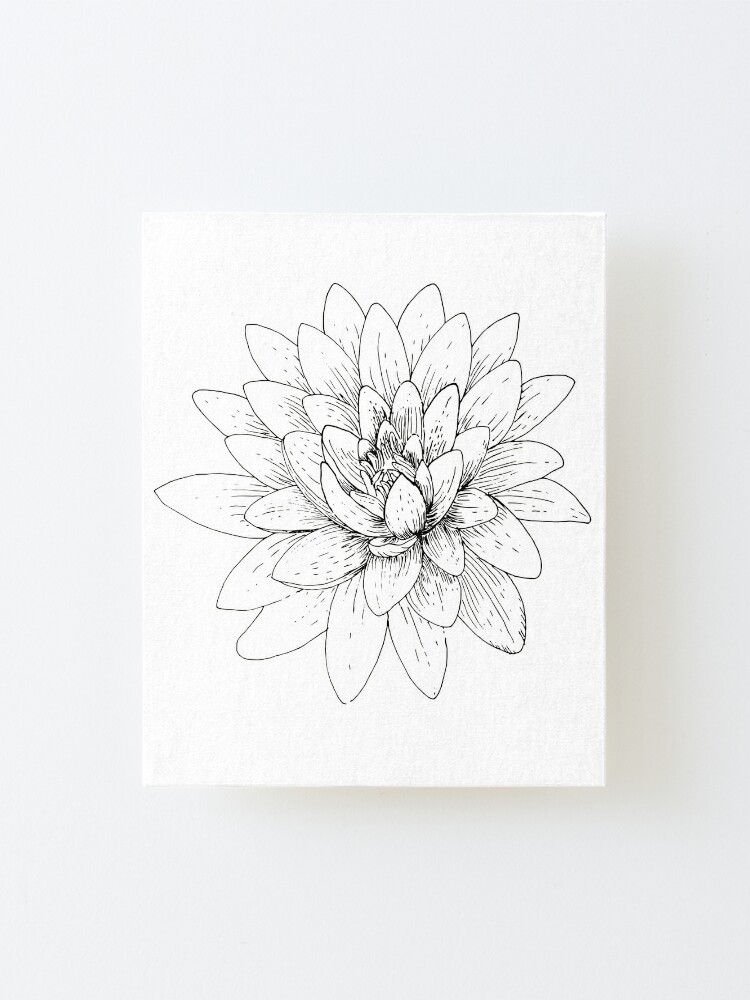 Black And White Lotus Flower Mounted Print By Mirushy Redbubble