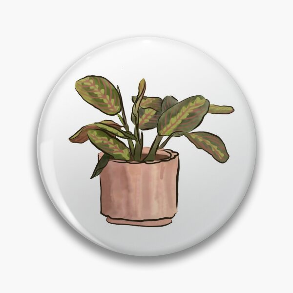 Item preview, Maranta Plant Watercolor Illustration designed and sold by laurenthimmesch.