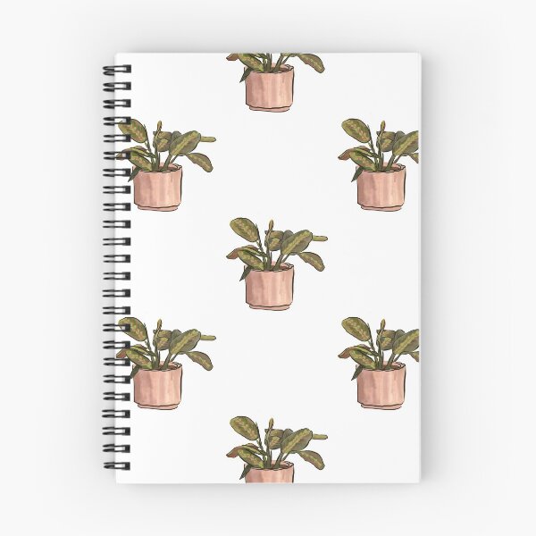 Item preview, Maranta Plant Watercolor Illustration designed and sold by laurenthimmesch.