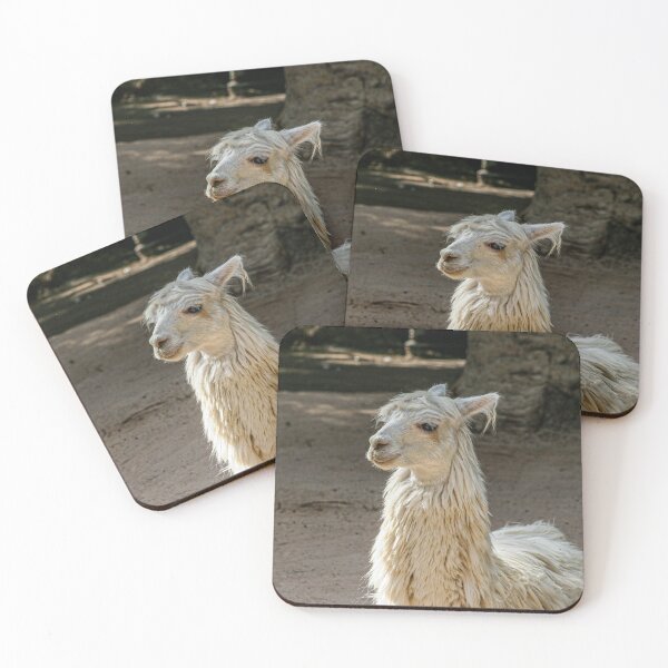 Item preview, "White LLama" Image by Rich AMeN Gill designed and sold by RichAMeNGill.