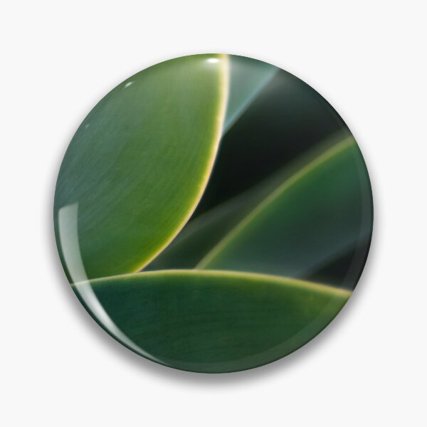 Item preview, Agave curves designed and sold by Art in Nature.