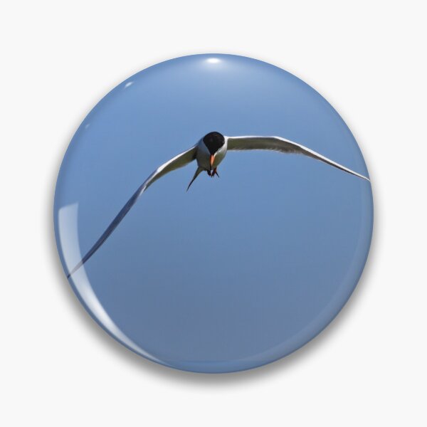 Item preview, Tern at Bolsa Chica designed and sold by Art in Nature.