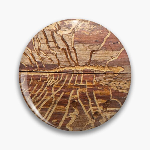 Item preview, Bug Art - hieroglyphics of from the insect world designed and sold by Rod Raglin.
