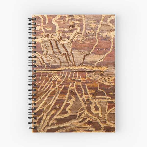 Item preview, Bug Art - hieroglyphics of from the insect world designed and sold by Rod Raglin.
