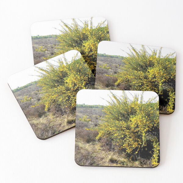 Item preview, Yellow blossoms on the heath designed and sold by jchanders.