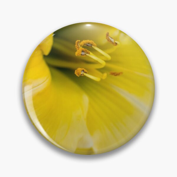 Item preview, Sunshiny yellow designed and sold by Art in Nature.