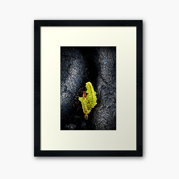 New life Framed Art Print