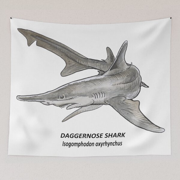 Aperçu de l'œuvre Requin daggernose créée et vendue par SnakeArtist.