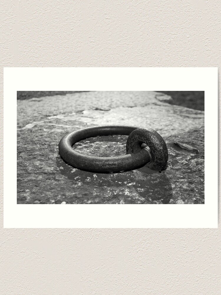 Alternate view of Cockatoo Dock Iron Ring Art Print