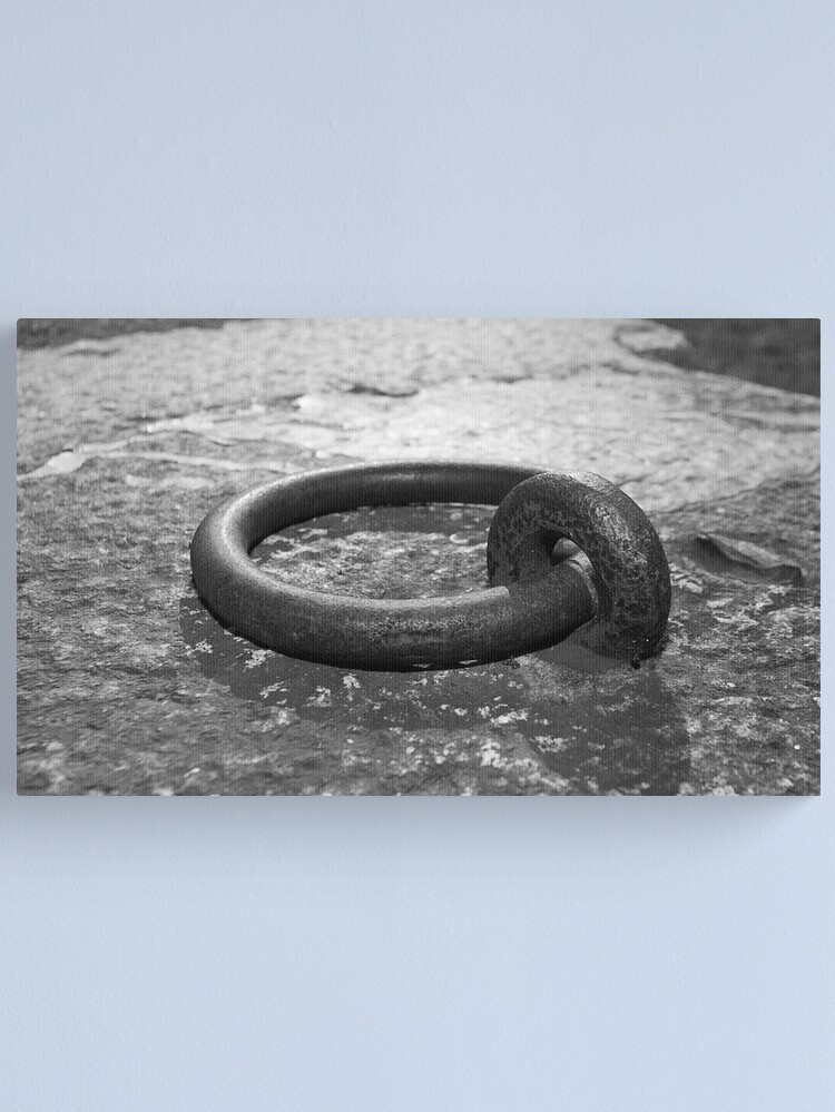 Canvas Print, Cockatoo Dock Iron Ring designed and sold by Richard  Windeyer