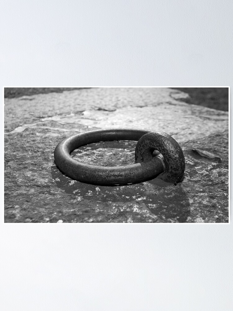Alternate view of Cockatoo Dock Iron Ring Poster