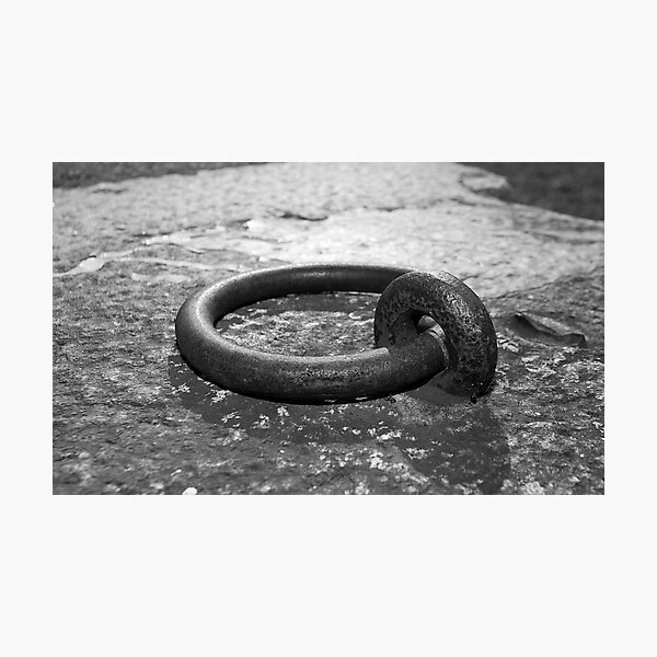Cockatoo Dock Iron Ring Photographic Print