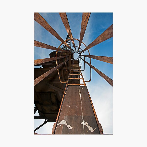 Cockatoo Dock Crane Ladder Photographic Print
