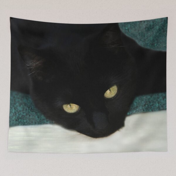 Item preview, Suki Kat designed and sold by heatherfriedman.