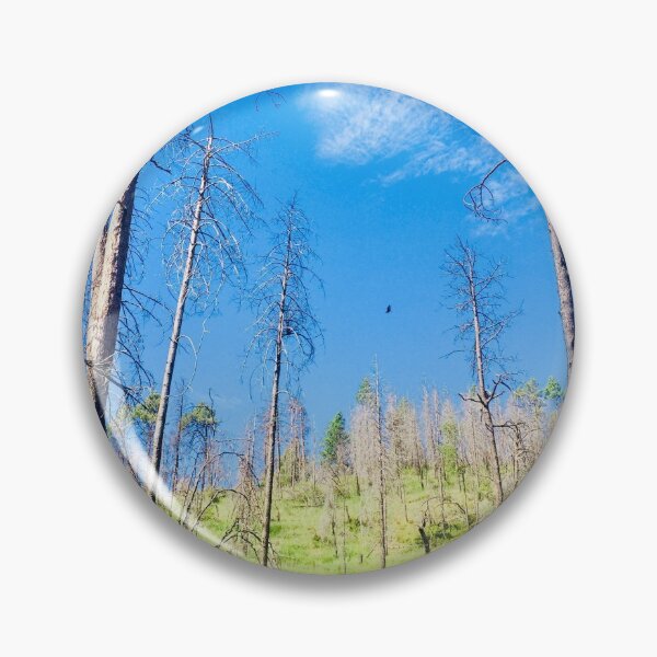 Item preview, Gila Forest in New Mexico designed and sold by Trendature Online .