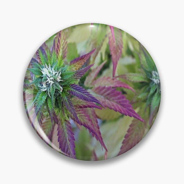 Item preview, The Beauty of Mother Nature designed and sold by Maddie4Real.