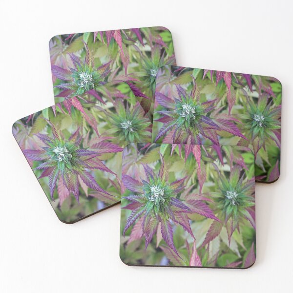 Item preview, The Beauty of Mother Nature designed and sold by Maddie4Real.
