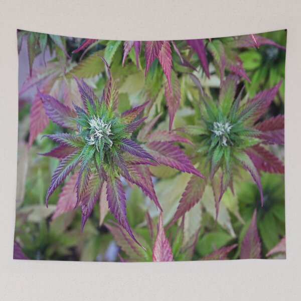 Item preview, The Beauty of Mother Nature designed and sold by Maddie4Real.