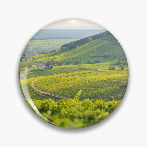 Item preview, Brouilly hill and vineyards with morning lights in Beaujolais land, France designed and sold by Gaël FONTAINE.
