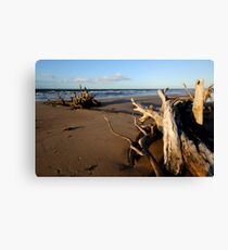 All Washed Up Canvas Print