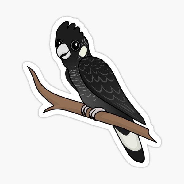 Item preview, Carnaby's Black Cockatoo designed and sold by Daniel Terrington.