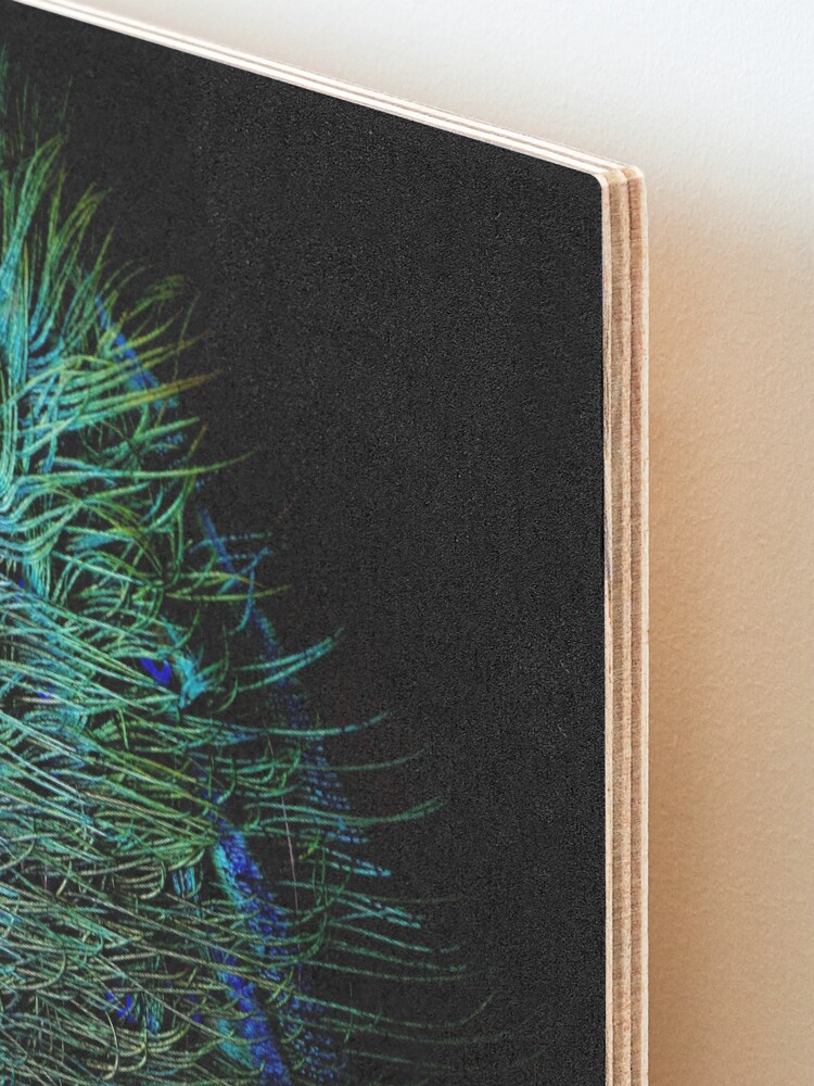 Alternate view of Peacock Feather Mounted Print