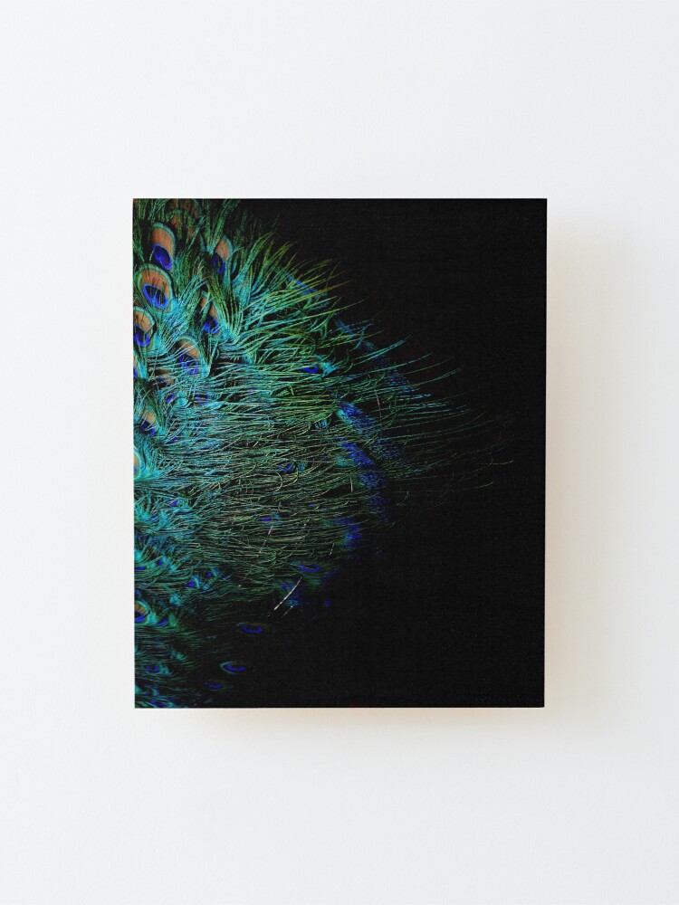 Alternate view of Peacock Feather Mounted Print
