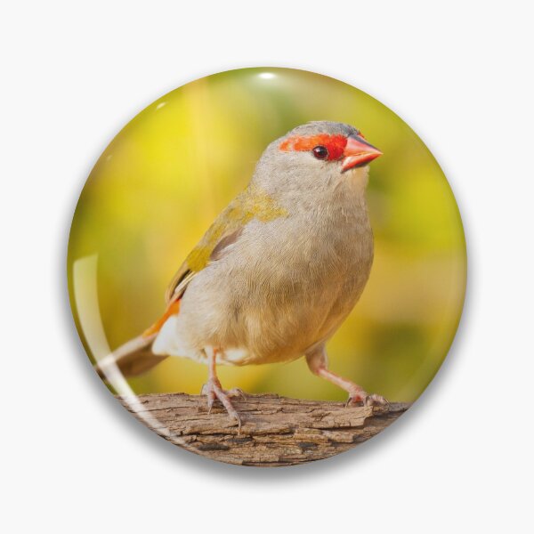 Item preview, A Dash of Red designed and sold by CBoyle.