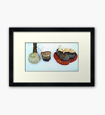 Tree Fungus Framed Print